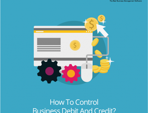 HOW TO CONTROL BUSINESS DEBIT AND CREDIT?