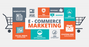 Anatomy E-Commerce Marketing